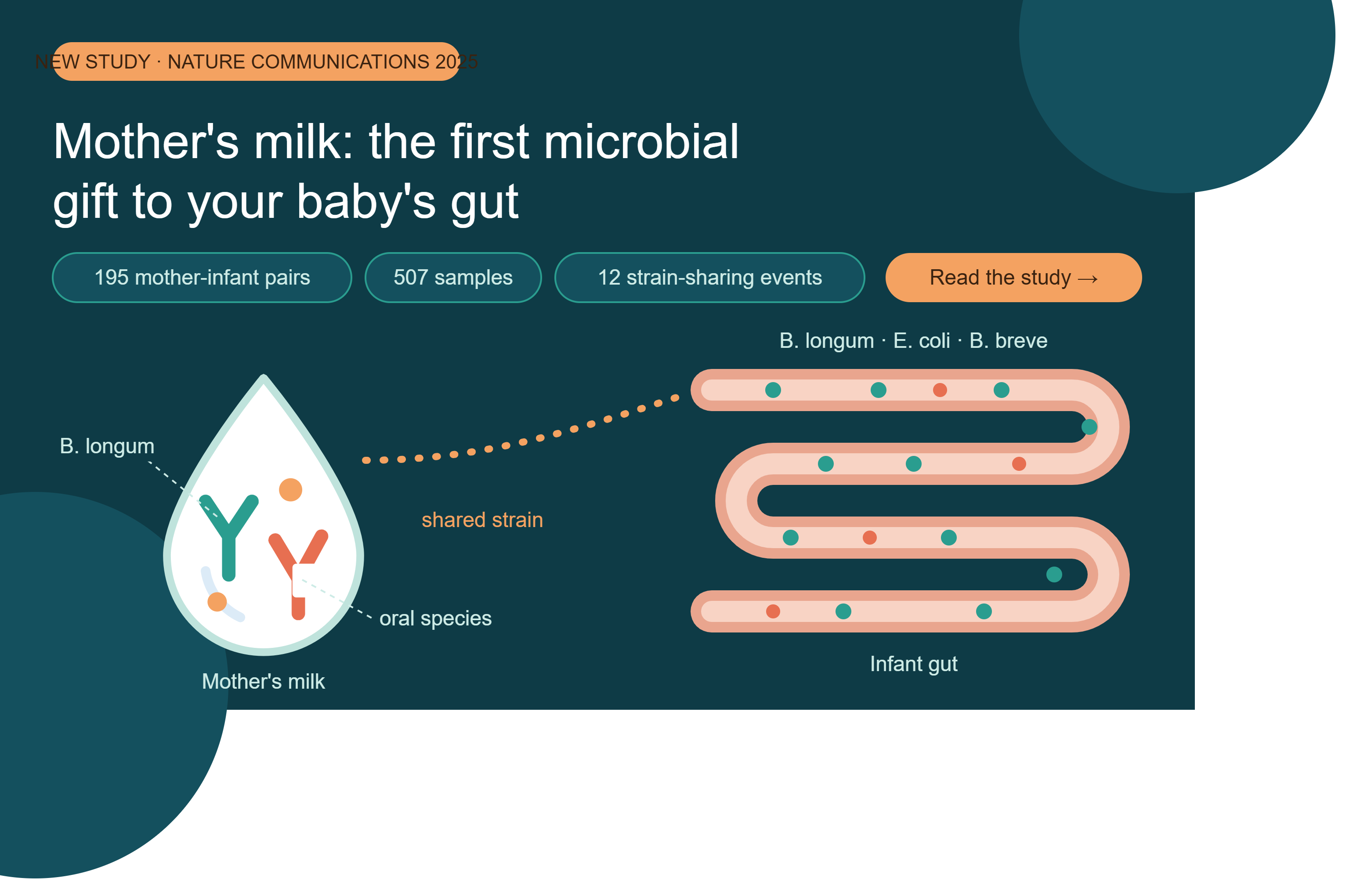 More Than Milk: How a Mother’s Milk May Shape a Baby’s Gut Microbiome